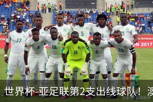 世界杯-亚足联第2支出线球队！澳大利亚0-0巴拉圭获小组第2